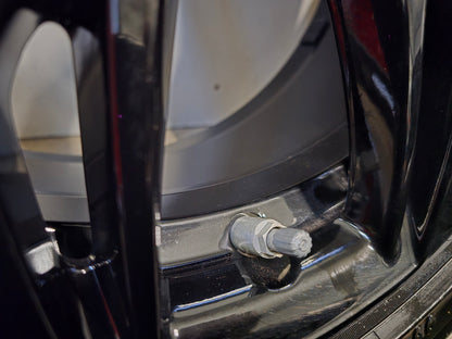 BMW X1 F48 X2 F39 18 inch velgen winterbanden 566 zwart