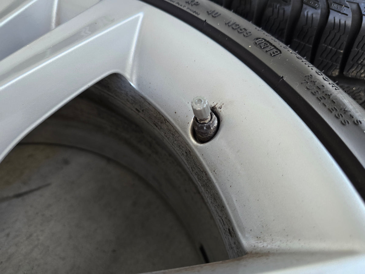 BMW 1 serie E81 F20 F21 2serie F22 F23 18 inch winterbanden 385 velgen